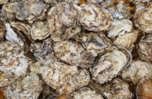 морепродукты рыба Приморье