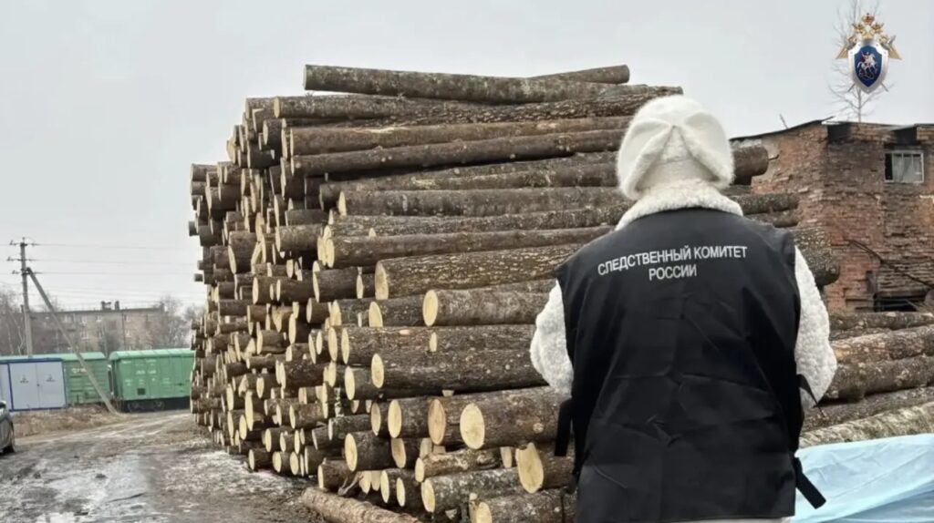 В Приморье по вине бизнесмена ребенка задавило бревном