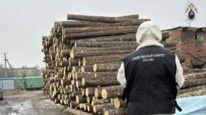 В Приморье по вине бизнесмена ребенка задавило бревном