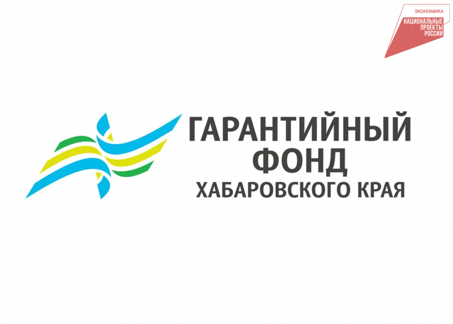 В Хабаровском крае бизнес расширяет оказание соцуслуг населению