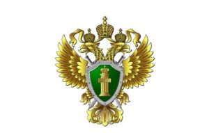 деньги
