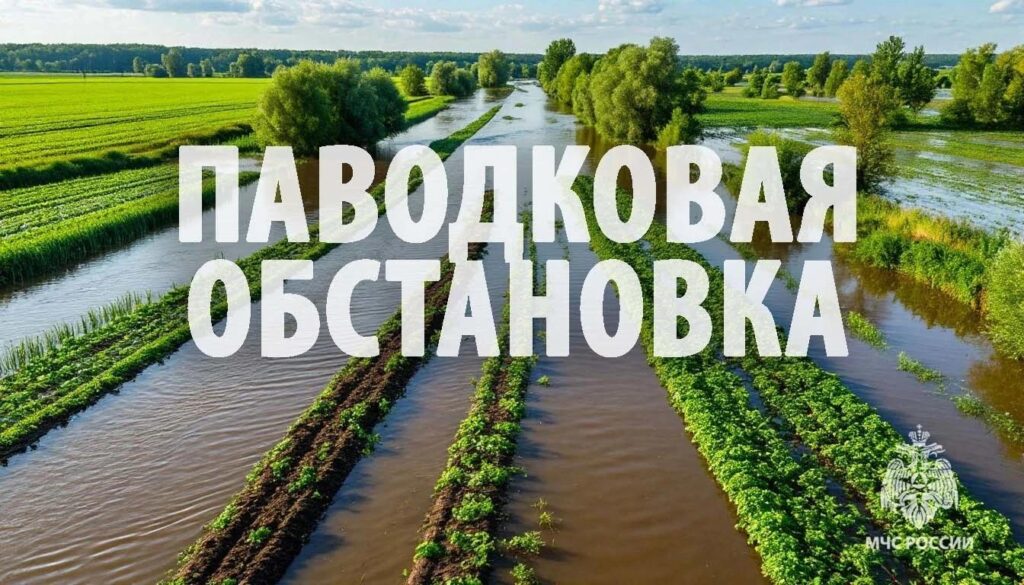 Паводок отступает в Хабаровском крае