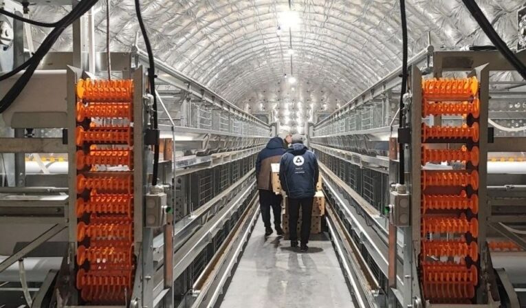 Самая северная птицефабрика Дальнего Востока нарастила поголовье